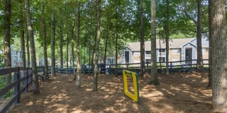 Bell Alpharetta Gallery 35