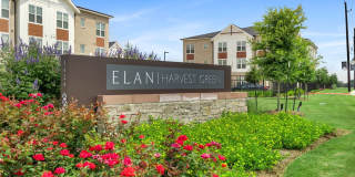 Elan Harvest Green Gallery 20