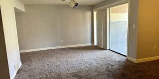 4994 Wintersong Lane Gallery 13