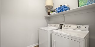 Olympus Steelyard Gallery 29