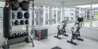 Mysa at The Crossing Gallery 13