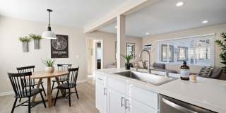 240 Spring Street Gallery 12