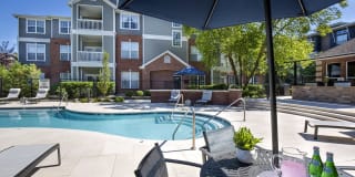 Lake Clearwater Gallery 36