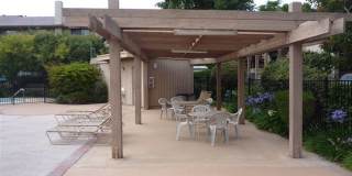Spacious Updated Bonita Condo Gallery 6