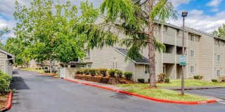 Willamette Falls Court Apartments Gallery 19