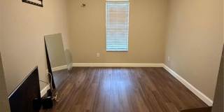 402 S ARMENIA AVENUE Gallery 12