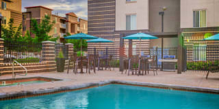 Avida Apartments Gallery 15