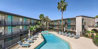 Omnia on Thomas Gallery 1