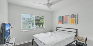 268 Alexandra Gallery 19