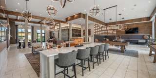 Alta at the Farm Gallery 14