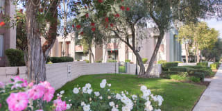 San Gabriel Villa Gallery 1