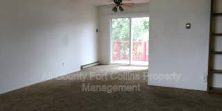 2507 W Lake Street Gallery 2