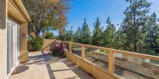 24 Cellini Gallery 10