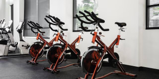 Assembly118 Gallery 15