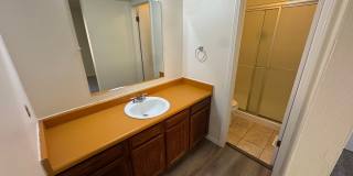 Live in the Timbers Gallery 17