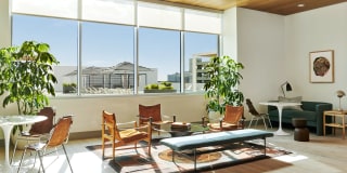 The Odeon Gallery 13