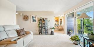 Fully Furnished View Condo Gallery 7