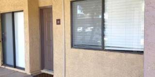 LP1 Research - #1000 Gallery 5