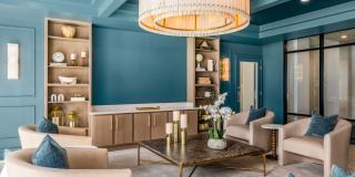 The Canopy Gallery 30