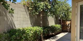 7009 N. Harmony Drive Gallery 40