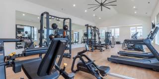 The Ramsay Gallery 2