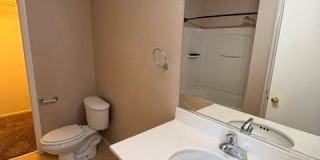 3208 BRAYTON MIST Drive Gallery 72