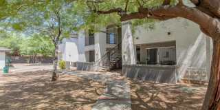 Agave Court Gallery 15