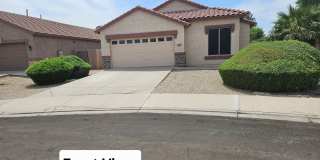 Great Gilbert location Great Gilbert location Gallery 1
