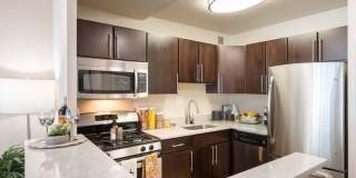 Modern on M Gallery 48