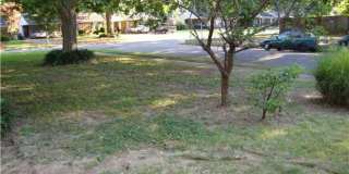 964 ELIZABETH Gallery 9