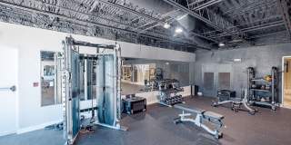 The Wayland Gallery 12