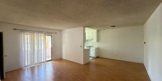Spacious Apartment in Sawtelle Los Angeles Gallery 11