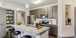 The Lotus at Starkey Ranch Gallery 5