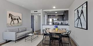 The Canvas Gallery 6