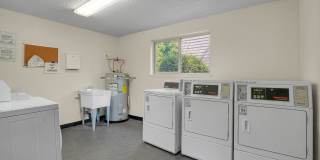 Downing Hills Gallery 20