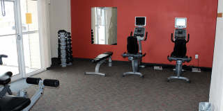 Sun Valley Gallery 22