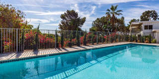 6453 Sycamore Meadows Drive Gallery 17