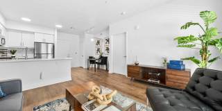 The Elinor Gallery 50