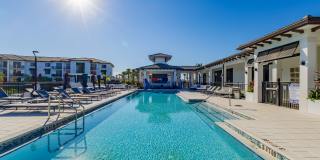 Portofino Vineyards Gallery 16