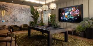 Alexan Camellia Gallery 11