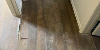 5113 Sierra - 3 Gallery 11