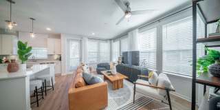 Alta Citron Gallery 56