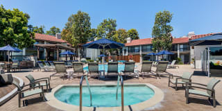 Pointe Niguel Gallery 20