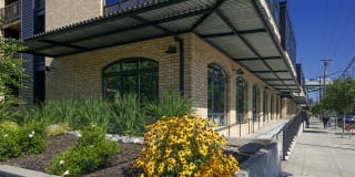 Waterline Gallery 19