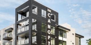 The Canopy Gallery 39