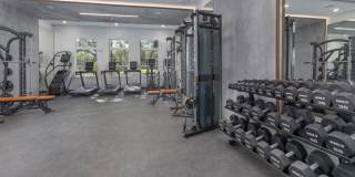 Azola South Tampa - Apartment & Townhome Gallery 10