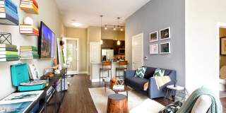 AMLI at Mueller Gallery 15