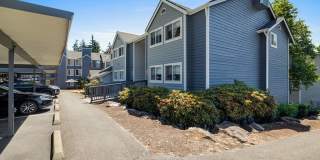 Avana Hamptons Gallery 26