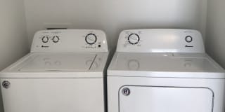 The Monika Gallery 15