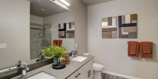 Ilumina Zephyrhills Gallery 20